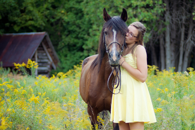 5 Raisons Pour Lesquelles Mon Cheval est Mon Meilleur Ami