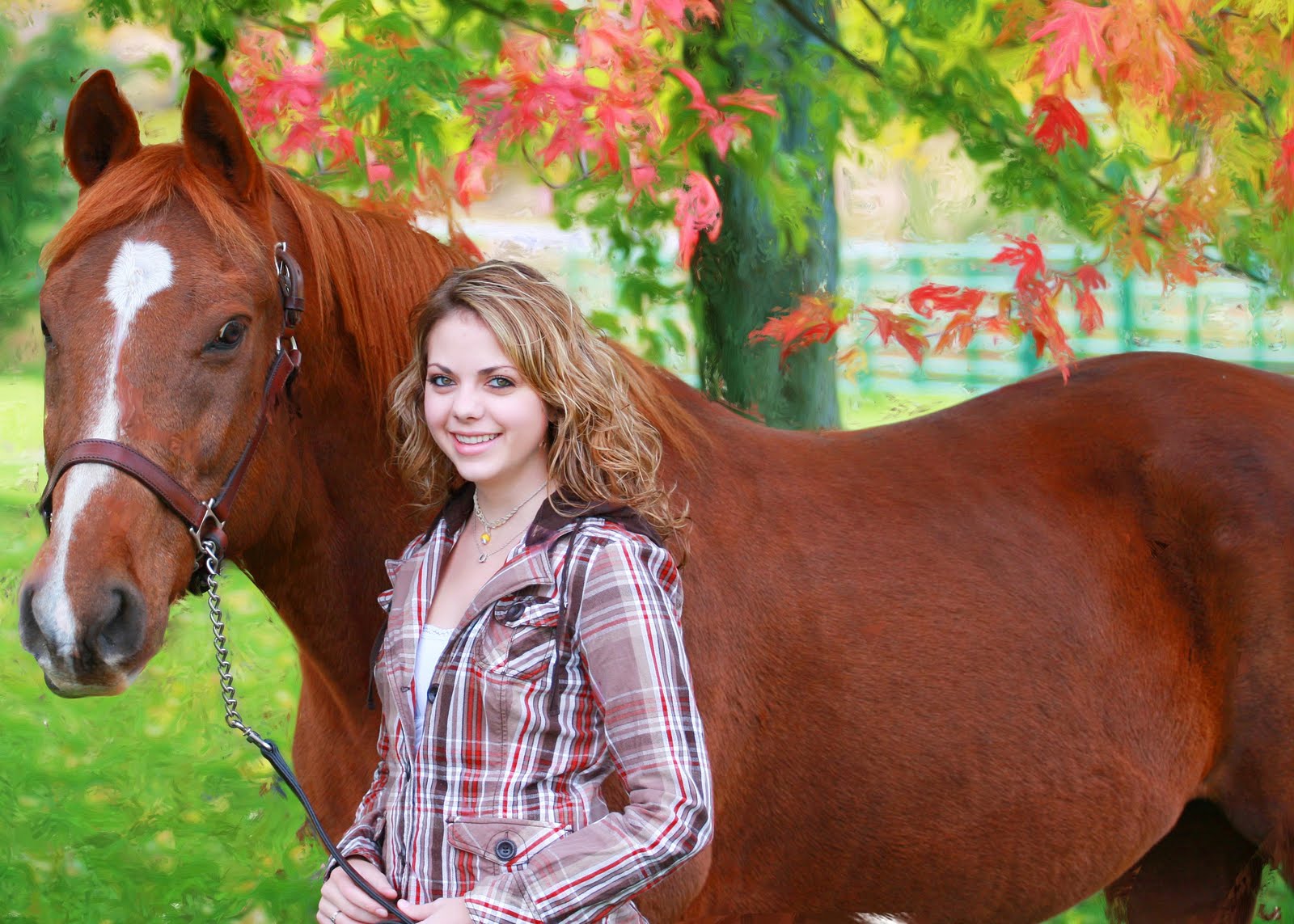 Comment Panser un Cheval et le Parfait Kit de Pansage